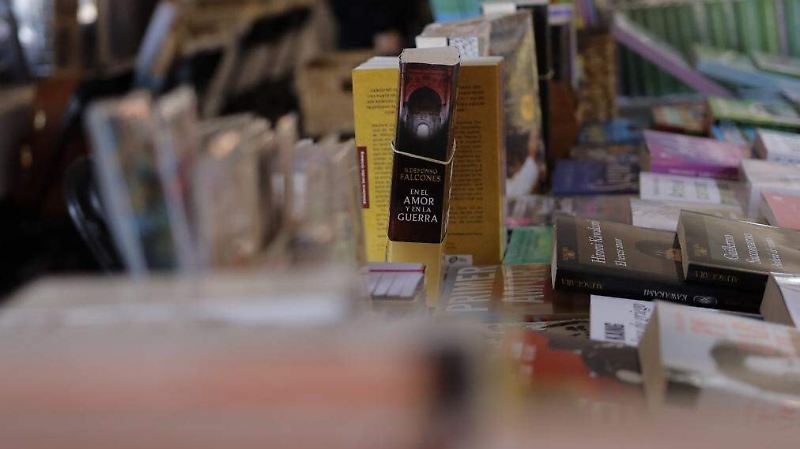 Feria del Libro y la Rosa